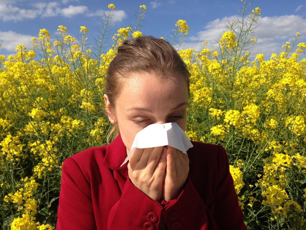 Príznakmi alergií sú aj výtok z nosa či dýchavičnosť. FOTO: Pixabay.com