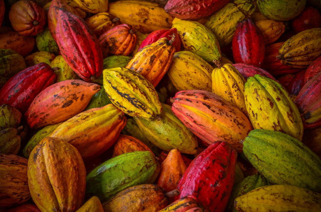 Kakao a čokoláda boli vyhradené len tým najbohatším a najmocnejším. FOTO: Shutterstock