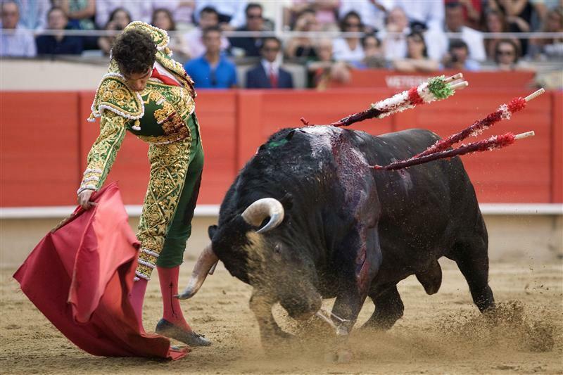Španielske ministerstvo zruší cenu býčích zápasov, rozhodnutie vyvolalo kritiku