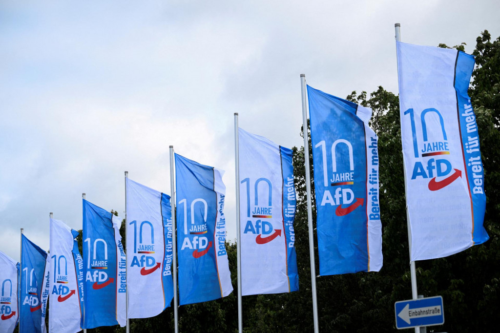 Vlajky spolkovej strany Alternatívy pre Nemecko (AfD). FOTO: Reuters