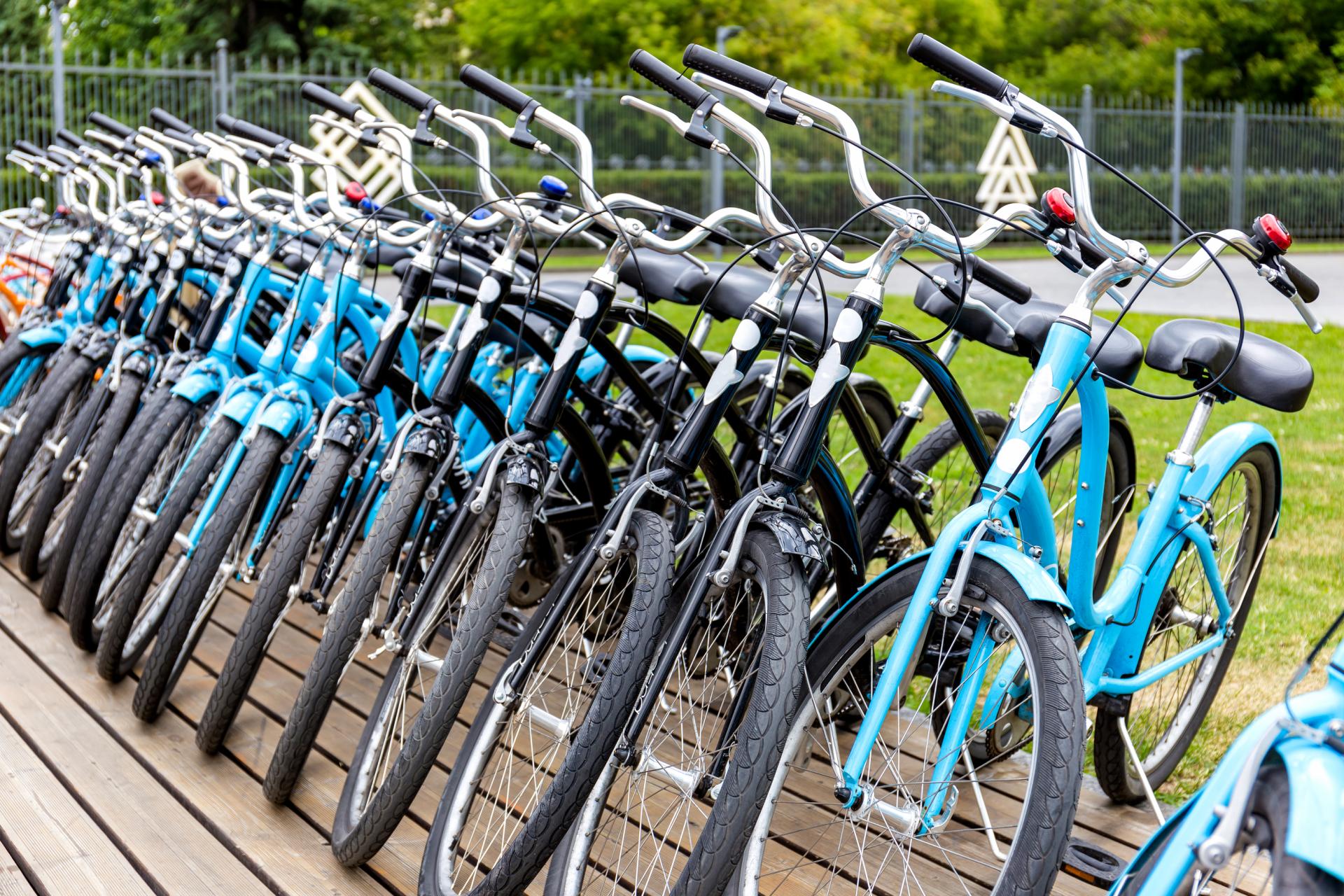 Slovenský výrobca bicyklov hlási na trhu otočku. Kedy sa najviac oplatí kúpiť nový bicykel?