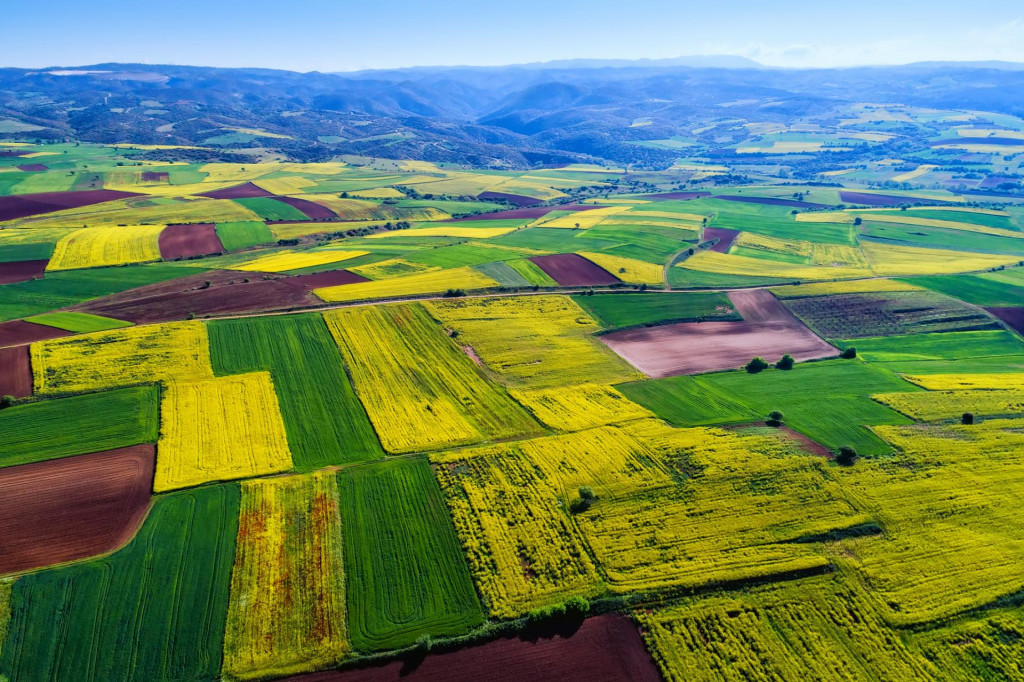 Ročné nájomné sa vypočíta ročnou sadzbou 2,20 percenta z hodnoty poľnohospodárskej pôdy. FOTO: Dreamstime