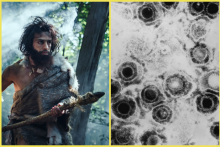 Vedci objavili praveký herpes v 50-tisíc ročných kostiach neandertálcov.