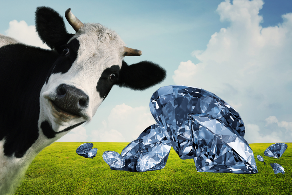 Tony Fadell, má firmu na výrobu diamantov z kravského metánu.