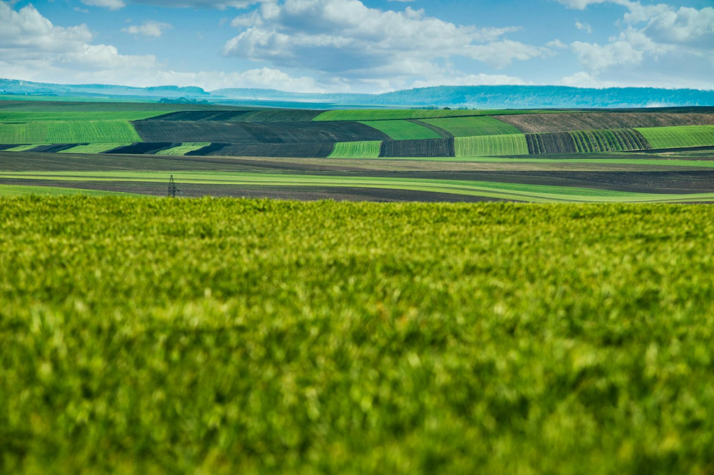 Rozdrobenosť pozemkov by mala v prvom rade zaujímať samotných vlastníkov. FOTO: Dreamstime