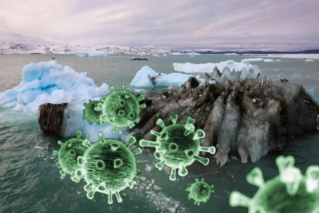 V grónskom ľade objavili obrovské vírusy.