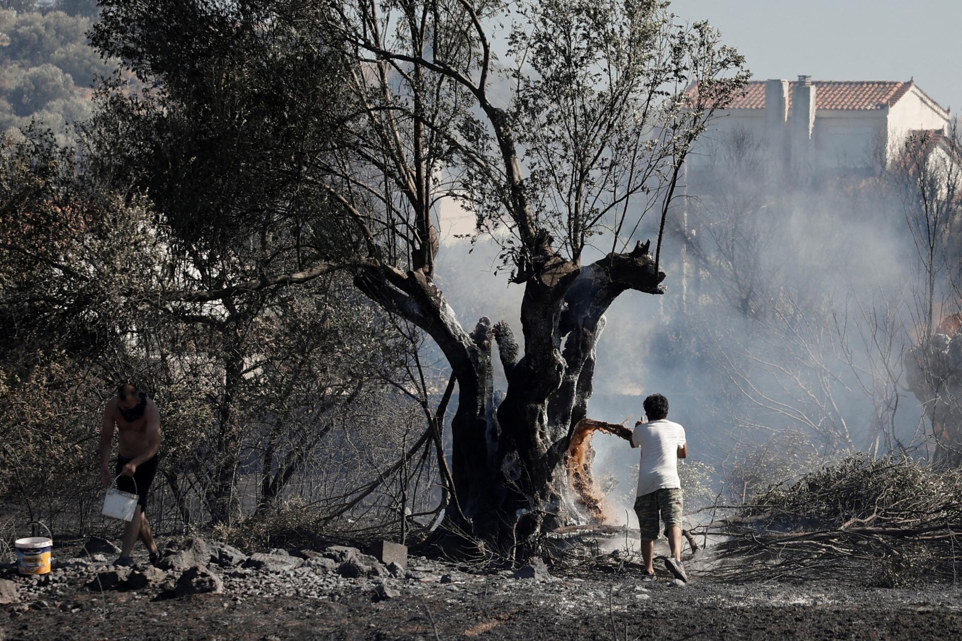 Grécke úrady evakuovali niekoľko obcí, ohrozujú ich lesné požiare