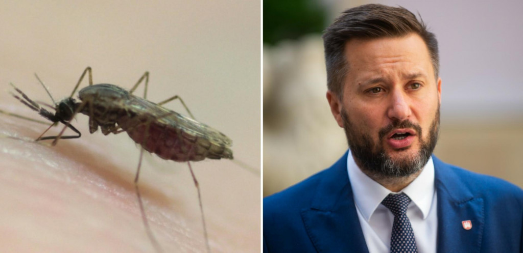 Primátor Bratislavy Matúš Vallo chemické prostriedky proti komárom využívať nechce. FOTO: TASR