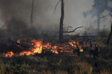 Hasič a dobrovoľníci sa pokúšajú uhasiť lesný požiar v meste Stamata neďaleko Atén. FOTO: Reuters