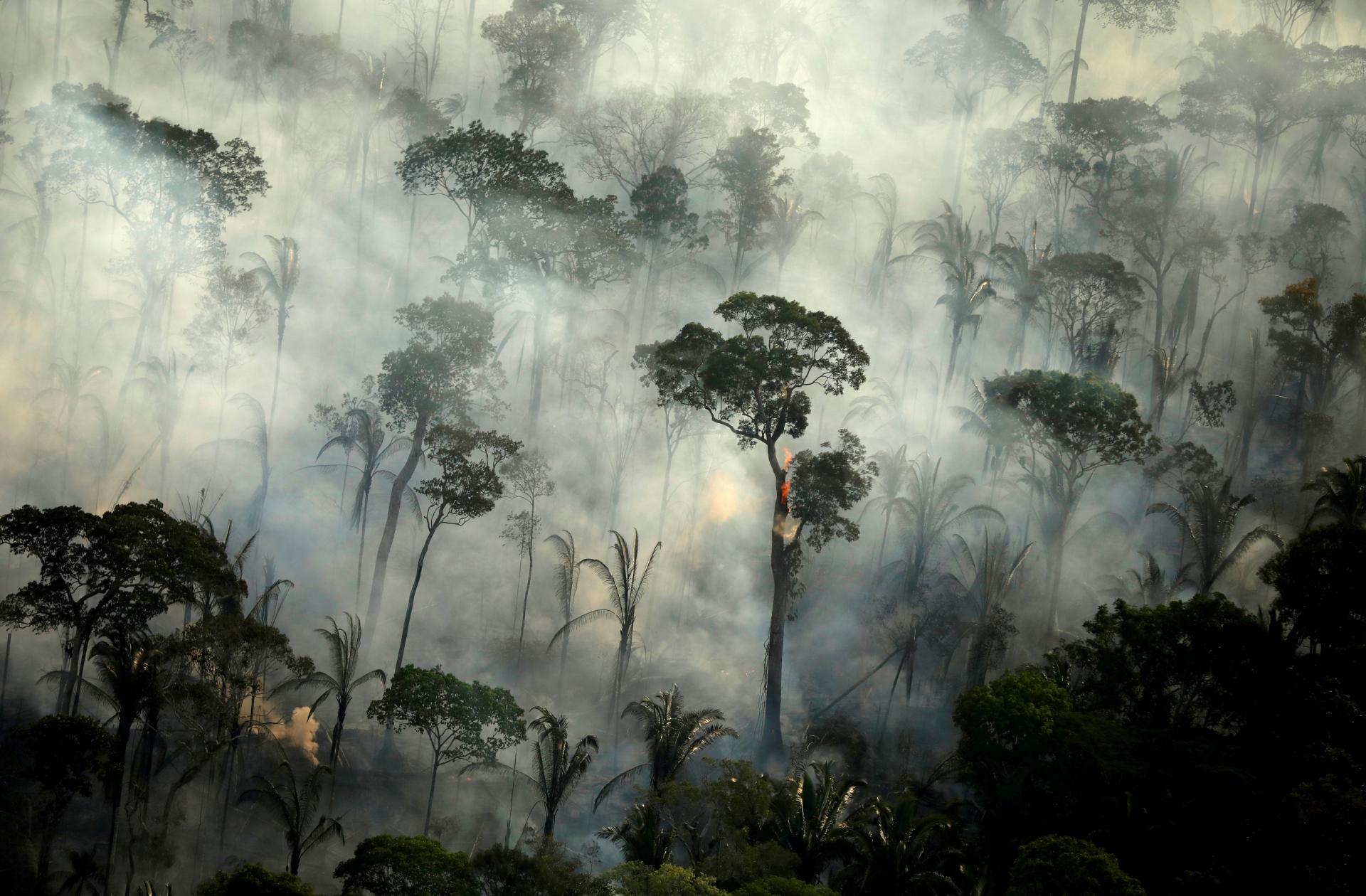 V Amazónii zaznamenali najvyšší počet požiarov za posledných 20 rokov
