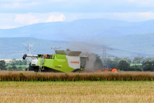 Na snímke žatva repky olejnej. FOTO: TASR/Henrich Mišovič