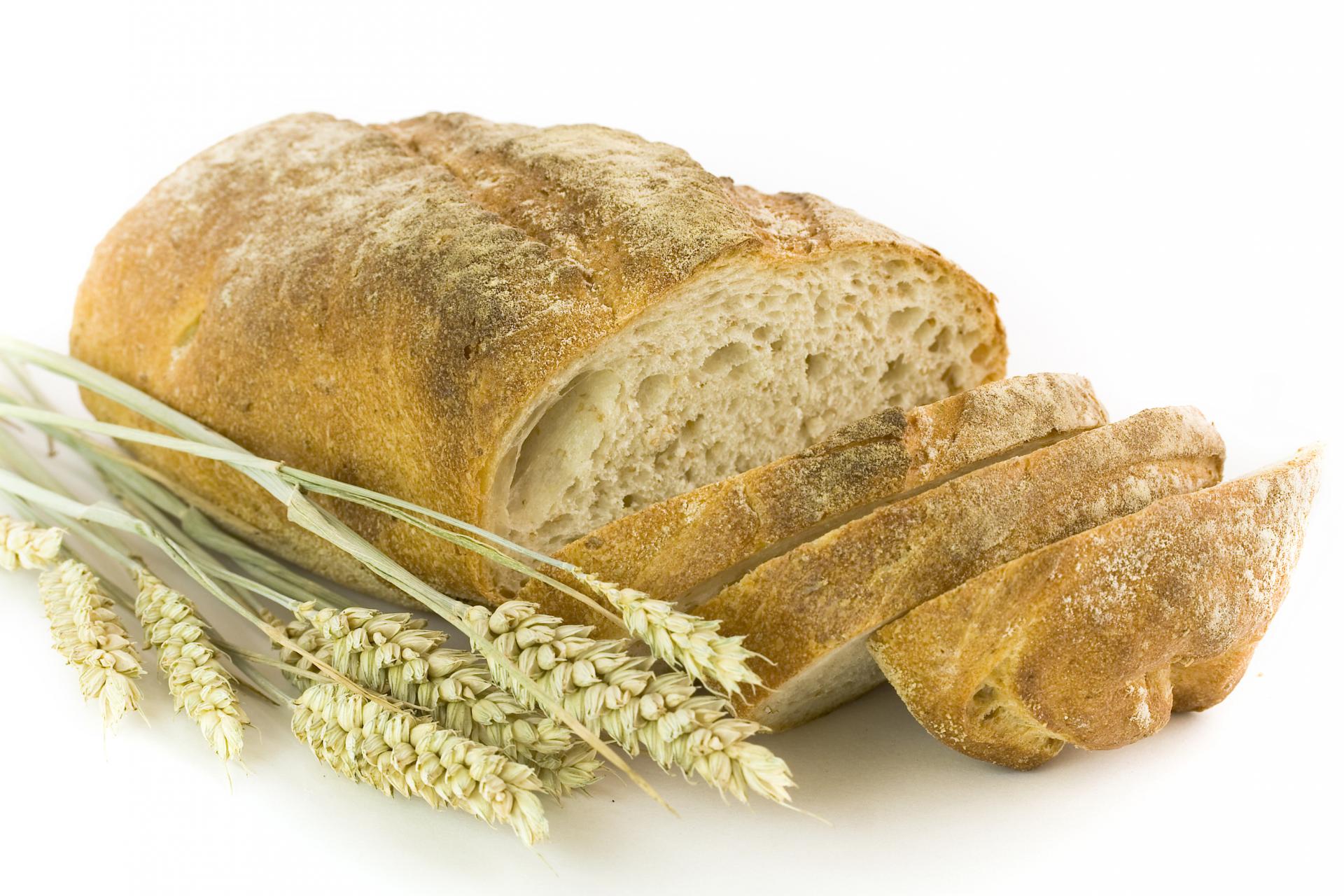 Pšenice bude dostatok, otáznou zostáva kvalita, tvrdia mlynári