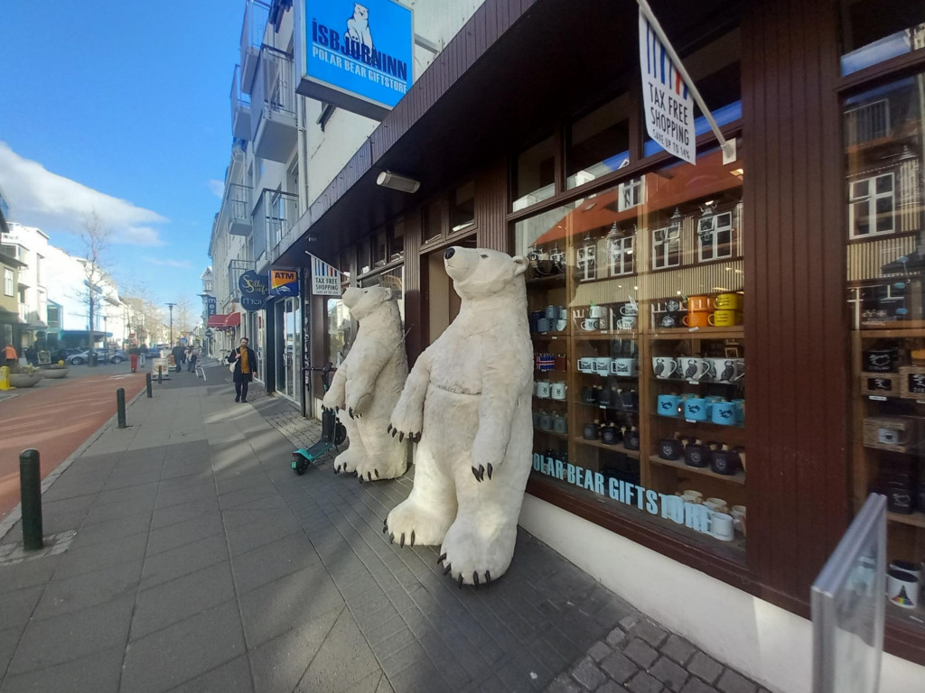 Pulzujúcu tepnu Reykjavíku tvorí dvojkilometrová ulica Laugavegur plná obchodov, barov a reštaurácií. FOTO: HN/Pavel Novotný