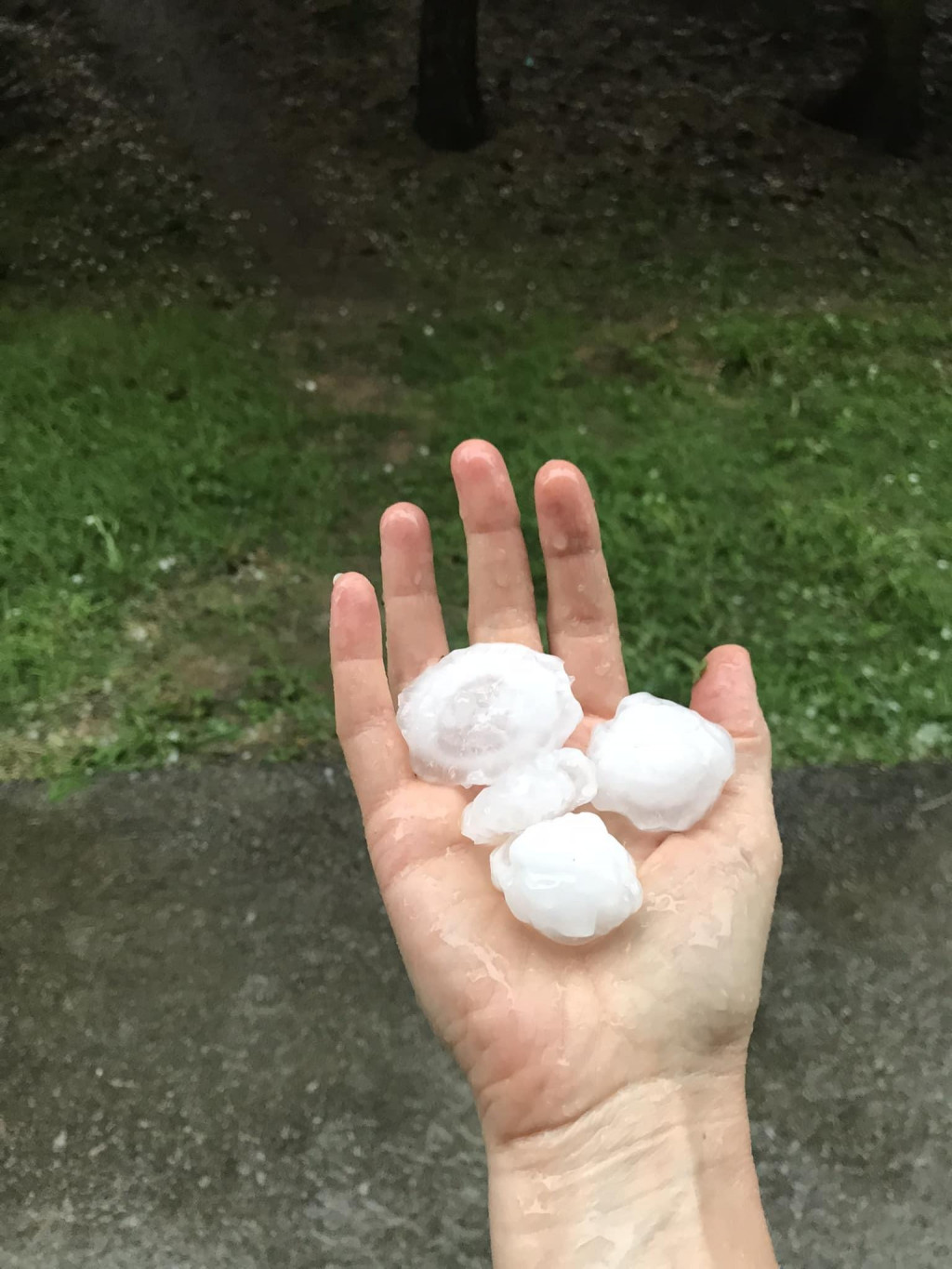 Zvolen a okolie zasiahla veľmi silná supercelárna búrka s prívalovým dažďom, veľkými krúpami. FOTO: SHMÚ/R. Babicová