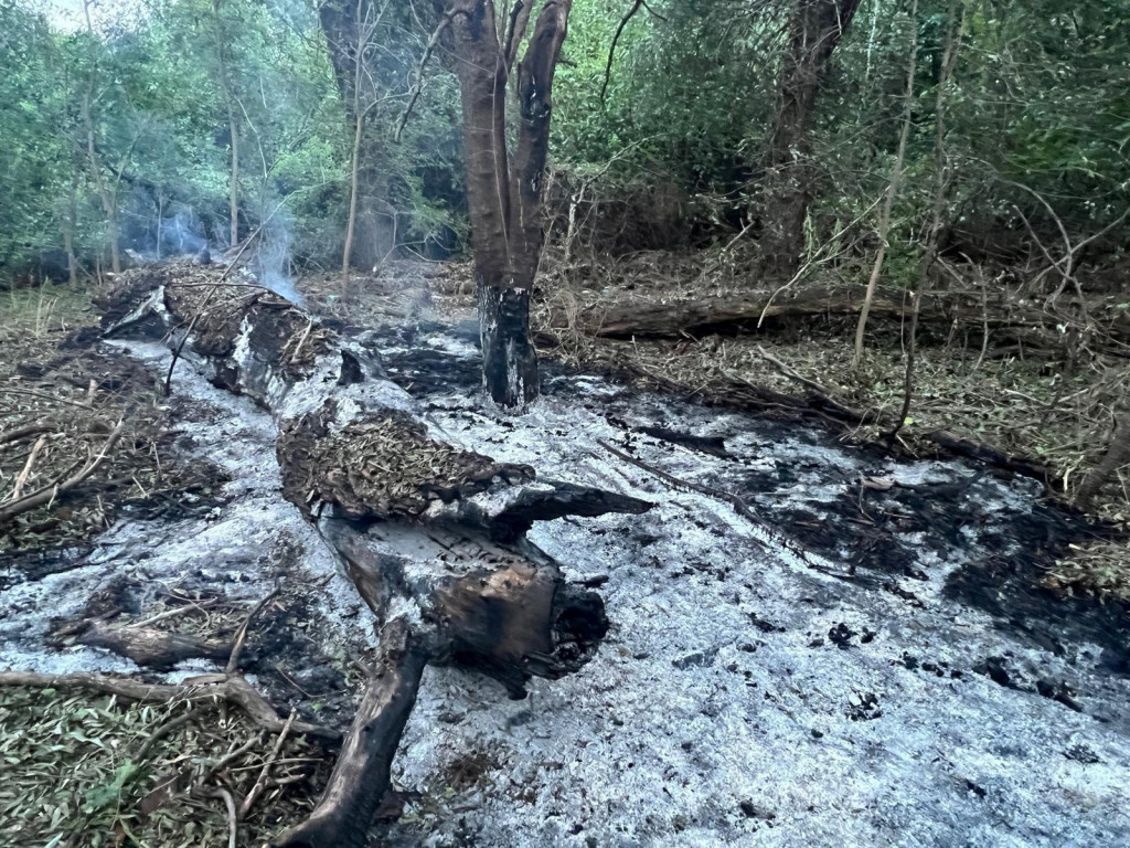 Oblasť, kde sa našli úlomky z ruského bezpilotného lietadla Geran 1/2, na mieste uvedenom ako blízko dediny Plauru v Rumunsku. FOTO: Reuters