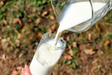 Zo živočíšnych výrobkov klesli ceny konzumných slepačích vajec o 20,1 percenta a kravského mlieka o 7,8 percent. FOTO: Pixabay