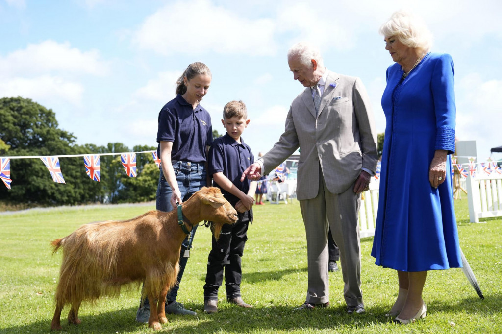 Britský kráľ Karol III. (druhý vpravo) a britská kráľovná Kamila si prezerajú vzácne plemená kozy Golden Guernsey počas návštevy Les Cotils v L‘Hyvreuse v Saint Peter Port na ostrove Guernsey