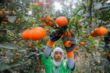 Ilustračná fotografia. FOTO: Reuters