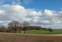 Neznámych vlastníkov zastupuje štát. FOTO: Dreamstime