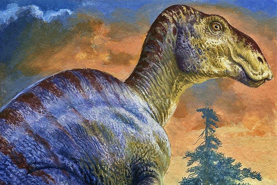 Keď svetu vládli jaštery. Dinosaury rástli veľmi rýchlo, boli chytré ako opice a nevraždili len tak pre radosť