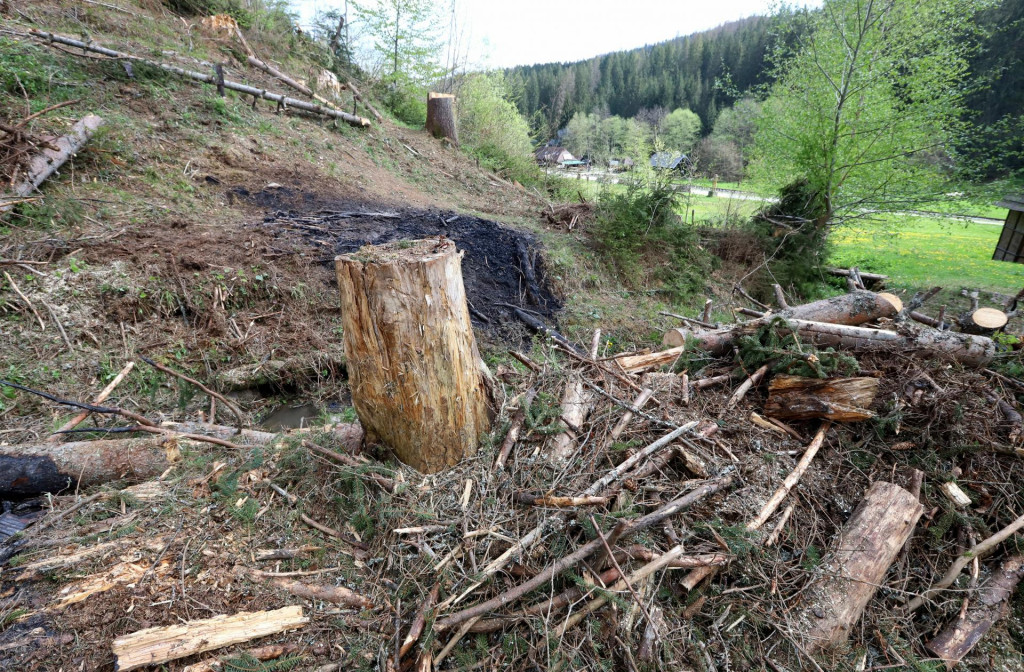 V obci Čierny Balog prebieha masívna ťažba v lokalitách zasiahnutých podkôrnikovou kalamitou. FOTO: TASR/Ján Krošlák