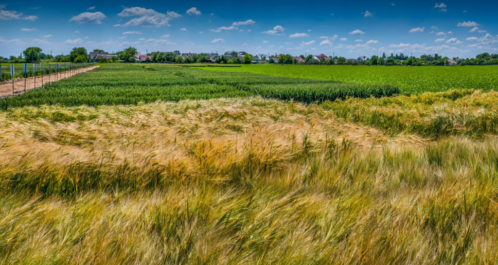 Kľúčové je mať vysporiadané platby voči Sociálnej poisťovni. FOTO: Dreamstime