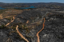 Spálená lesná oblasť vedľa jazera Maratón po lesnom požiari neďaleko Atén. FOTO: Reuters