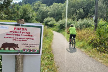 Na cyklotrase medzi Ružomberkom a mestskou časťou Biely Potok vo štvrtok spozorovali medveďa. FOTO: TASR/Miroslava Mlynárová