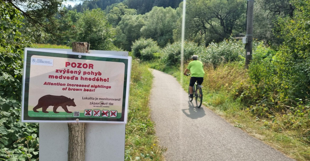 Na cyklotrase medzi Ružomberkom a mestskou časťou Biely Potok vo štvrtok spozorovali medveďa. FOTO: TASR/Miroslava Mlynárová