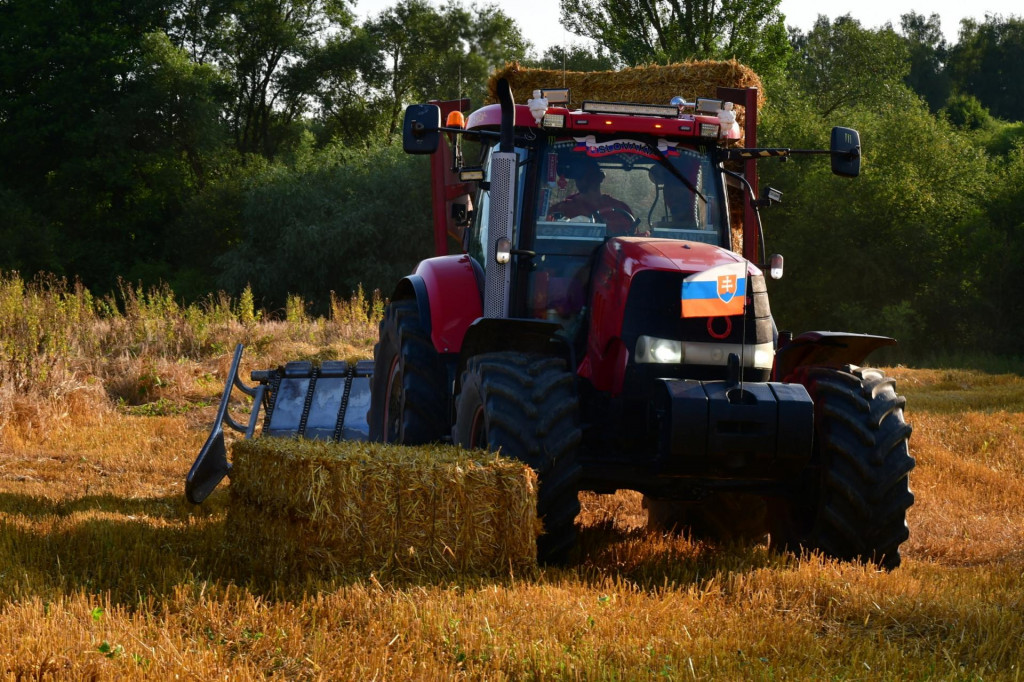 Žatva jačmeňa v katastri obce Strečno. FOTO: TASR/Erika