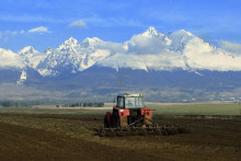 Priemerne sa u nás urodí 130-tisíc ton zemiakov ročne. FOTO: SITA/R. Ovšonka