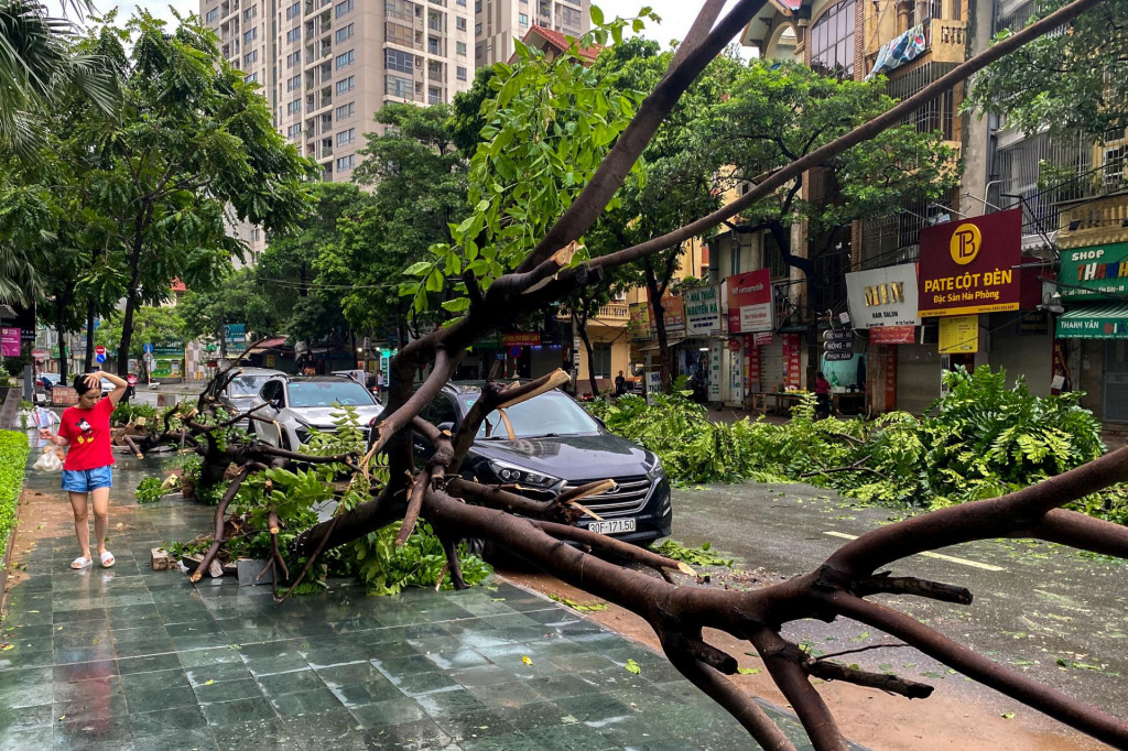 Vo vietnamskom Hanoji následkom tajfúnu popadali stromy. FOTO: Reuters