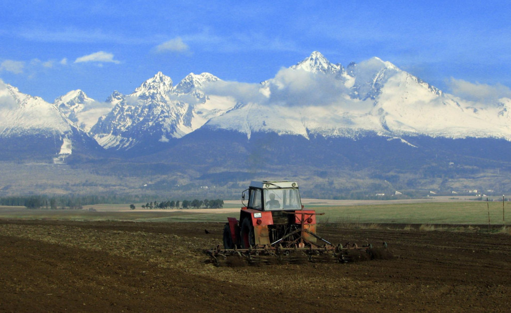 Priemerne sa u nás urodí 130-tisíc ton zemiakov ročne. FOTO: SITA/R. Ovšonka