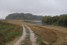 Rieka Morava pri obci Kopčany v okrese Skalica. FOTO: TASR/Ondrej Hercegh