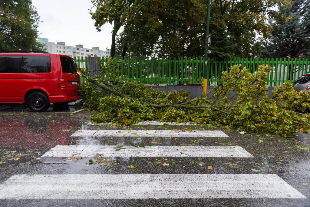 Spadnutý konár na ulici vo Vrakuni v Bratislave 2024. FOTO: TASR/Jaroslav Novák