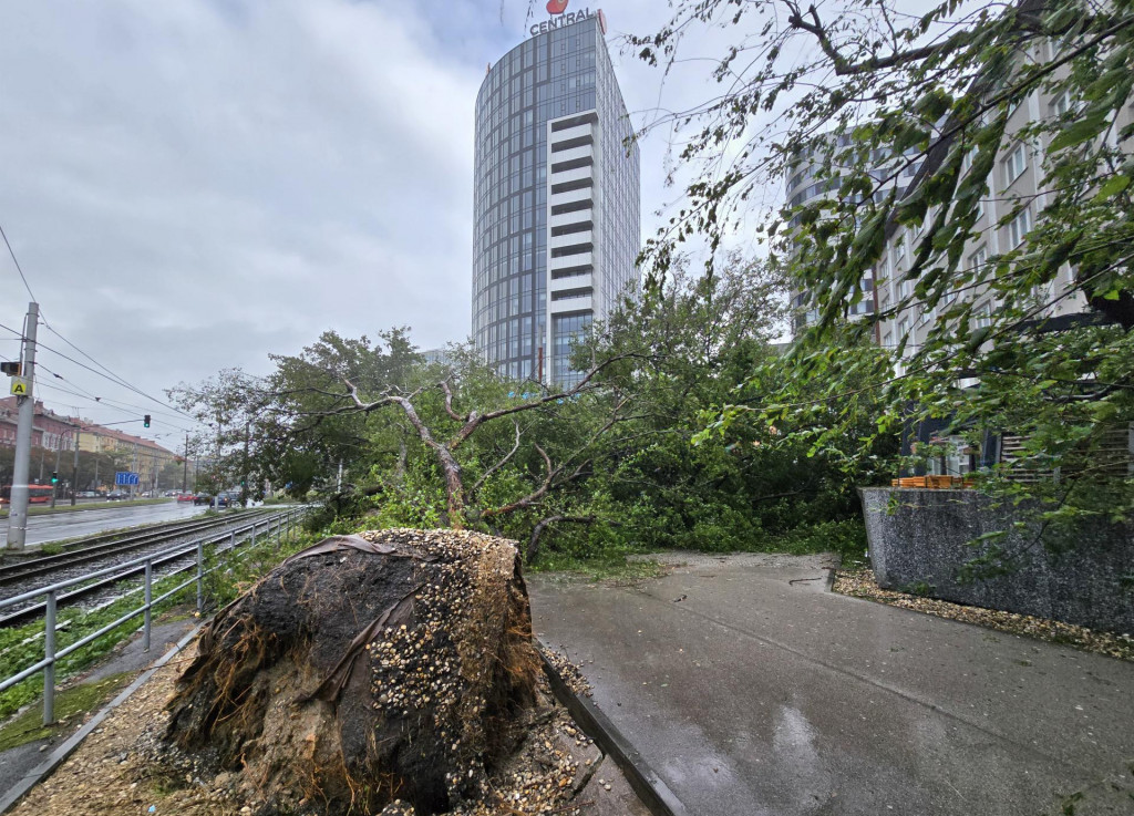 Vyvrátené stromy pri nákupnom centre Centrál po silnom vetre a neustálom daždi v Bratislave. FOTO: TASR/Pavel Neubauer