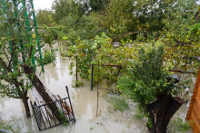 Zaplavené záhradky riekou Morava na Kremeľskej ceste medzi Devínom a Devínskom Novou Vsou v Bratislave. FOTO: TASR/Jaroslav Novák