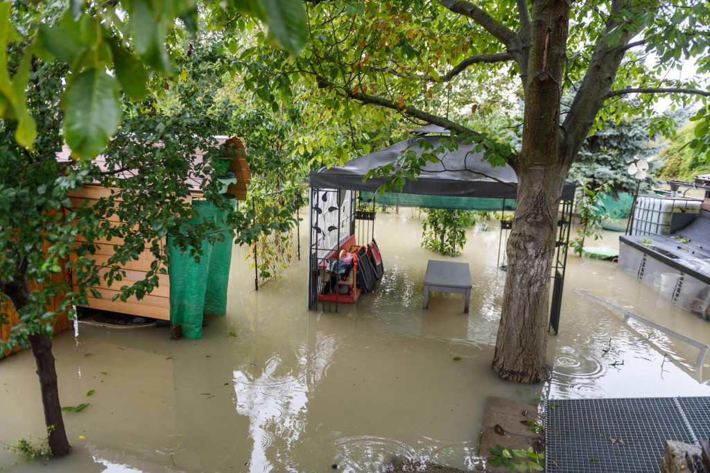 Zaplavené záhradky riekou Morava na Kremeľskej ceste medzi Devínom a Devínskom Novou Vsou v Bratislave. FOTO: TASR/Jaroslav Novák