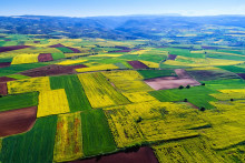 Slovenský pozemkový fond predáva pozemky za obvyklé ceny v danom regióne. FOTO: Dreamstime