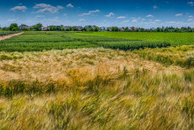 Slovenský pozemkový fond predáva pozemky za obvyklé ceny v danom regióne. FOTO: Dreamstime