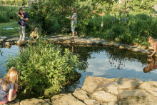 Združenie SOSNA už 30 rokov prešliapava cestu v oblasti envirovzdelávania detí na Slovensku.