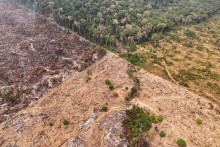 Pohľad z dronu na devastáciu lesných požiarov v Amazónii. FOTO: Reuters