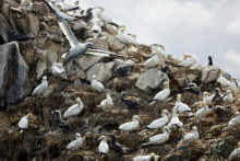 Ilustračná fotografia. FOTO: Reuters