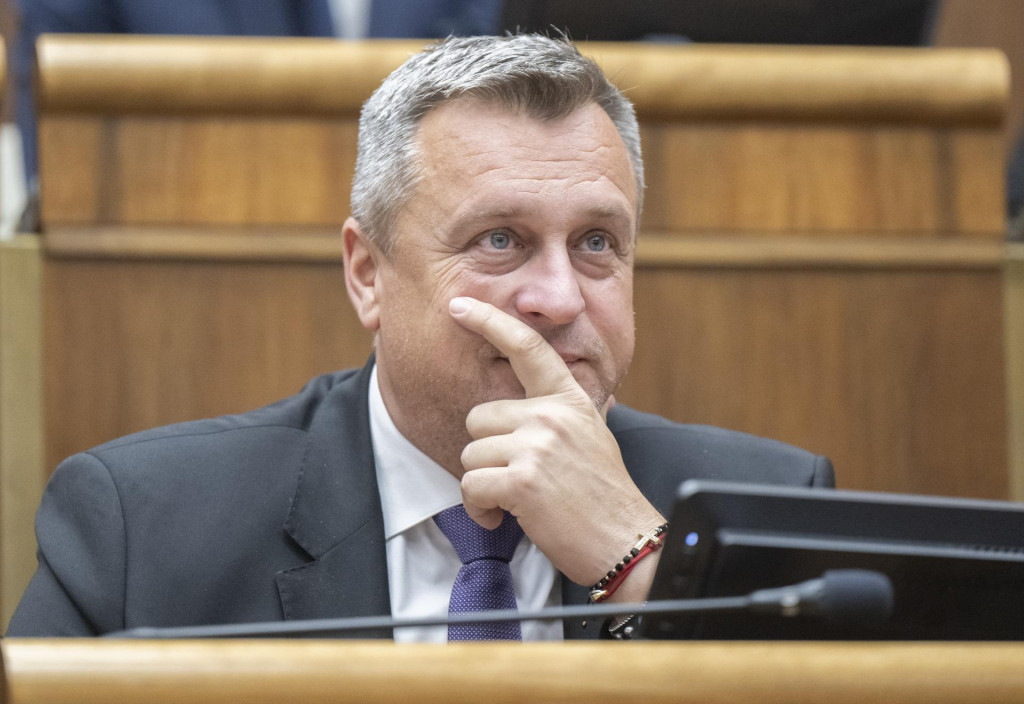 Podpredseda Národnej rady a šéf SNS Andrej Danko. FOTO: TASR/Martin Baumann