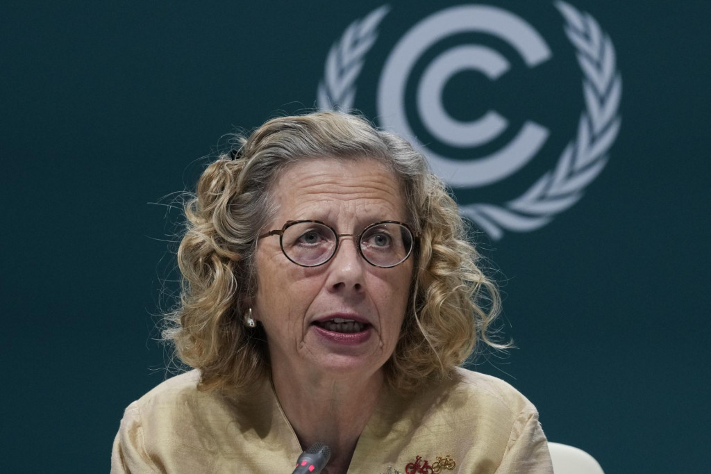 Výkonná riaditeľka Programu OSN pre životné prostredie Inger Andersenová hovorí na Klimatickej konferencii OSN COP 29. FOTO: TASR/AP
