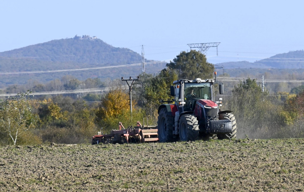 Poľnohospodárom tento rok počasie spôsobilo straty. FOTO: TASR/R. Hanc