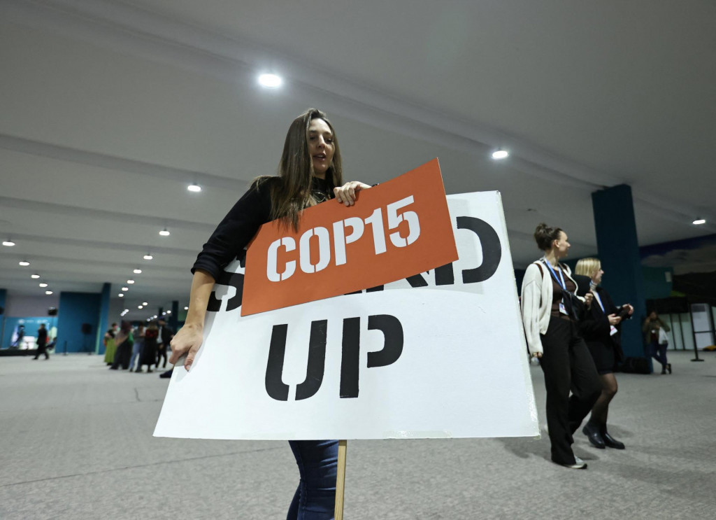 Aktivista nesie transparenty počas konferencie OSN o zmene klímy COP29 v Baku. FOTO: Reuters