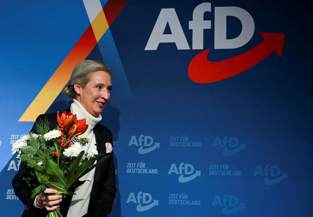 Alice Weidel, spolulíderka strany Alternatíva pre Nemecko. FOTO: Reuters