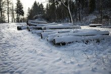 Zasnežená príroda v okolí Jahodnej pri Košiciach. FOTO: TASR/František Iván