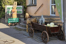 Stupavské zelé, predaj z dvora.

FOTO: HN/Katarína Šelestiaková